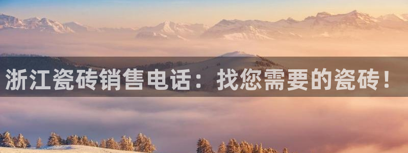 杏鑫官网注册账号是什么样的