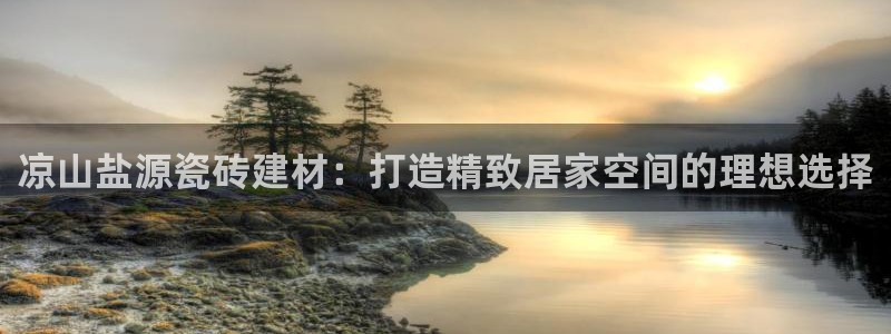 杏鑫平台代理注册流程图