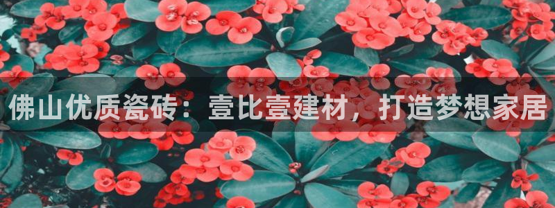 杏鑫平台代理注册登录不了怎么办呀