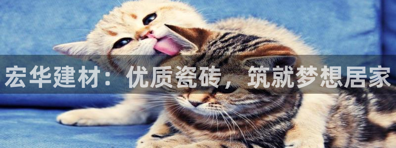 杏鑫平台登陆