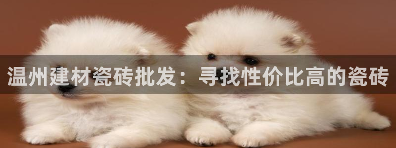 杏鑫官网注册账号怎么注册不了