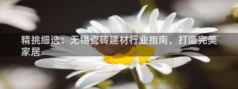 杏鑫官网最新信息新闻报道