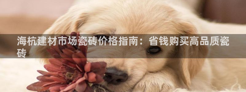 杏鑫平台招商怎么样