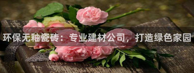 杏鑫平台代理怎么样