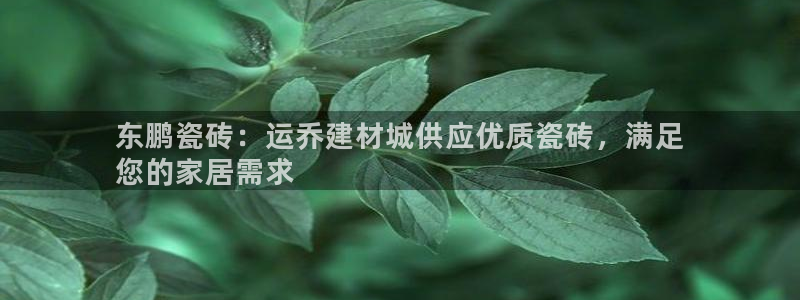 杏鑫平台登录地址
