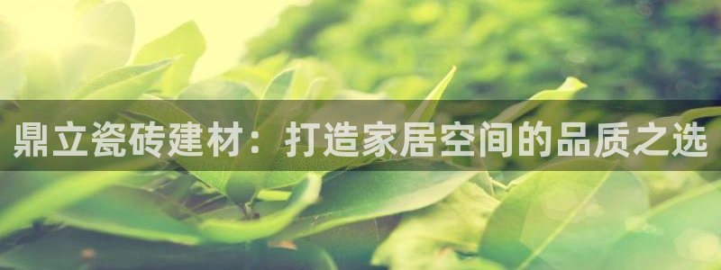 杏鑫官网注册账号密码