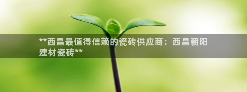 杏鑫平台注册入口在哪