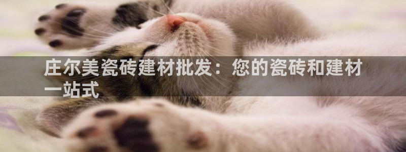 杏鑫注册地址