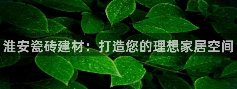 杏鑫娱乐开发团队