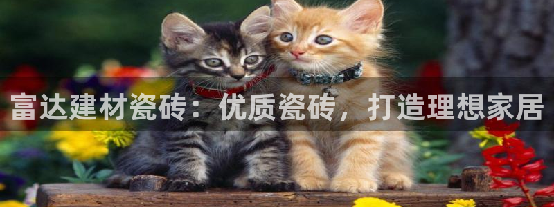 杏鑫平台代理注册多少钱