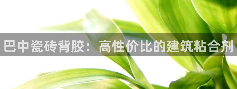 杏鑫官网注册账号密码忘了