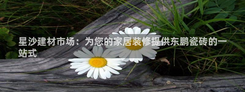 杏鑫3主管