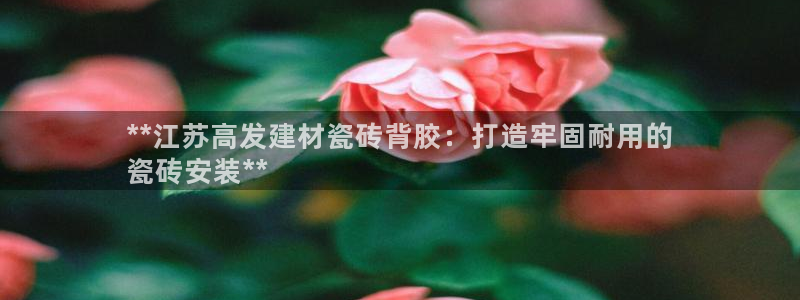 杏鑫平台注册入口在哪