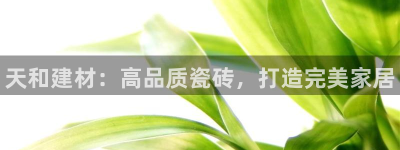 杏鑫官网注册账号密码