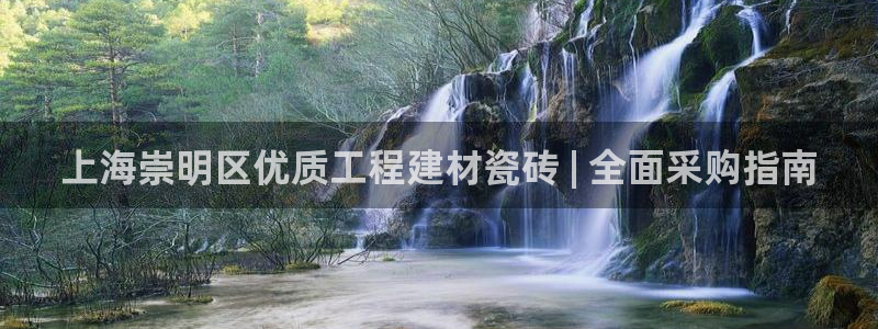 杏鑫平台代理注册登录不了怎么办呀视频