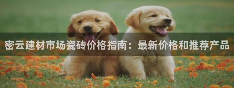 杏鑫平台提供