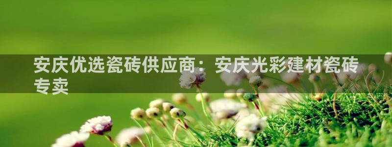 杏鑫注册平台官方网站是什么