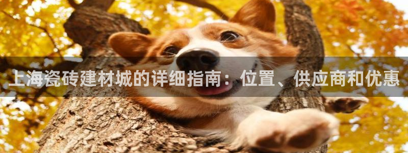 杏鑫登录测速