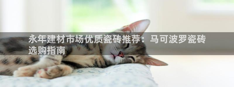 杏鑫注册登录网址是什么