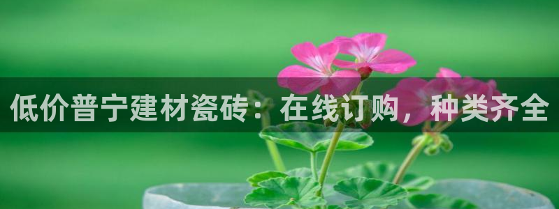 杏鑫平台登录注册