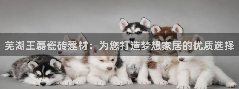 杏鑫平台念7O777