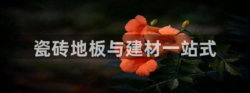杏鑫平台是黑平台吗是真的吗