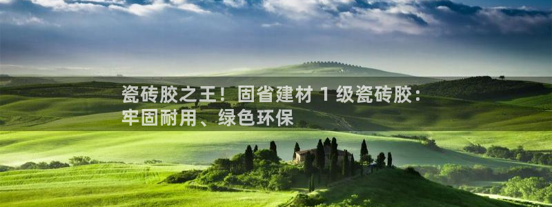 杏鑫官方平台怎么样啊知乎