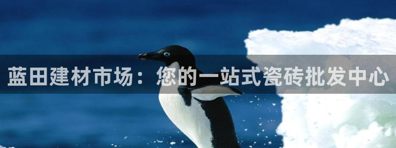 杏鑫平台直属哪个公司