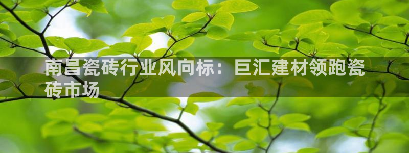 杏鑫平台念7O777