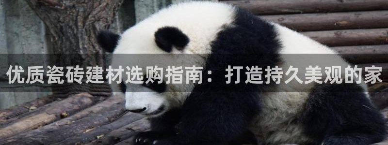 杏鑫平台野马联盟怎么样