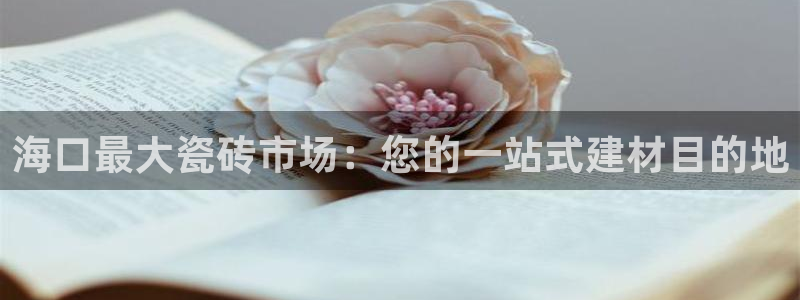 杏鑫平台下载安装