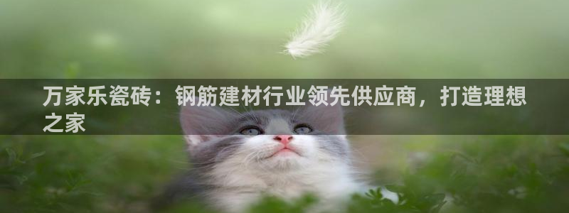 杏鑫平台怎么样黑钱吗知乎推荐