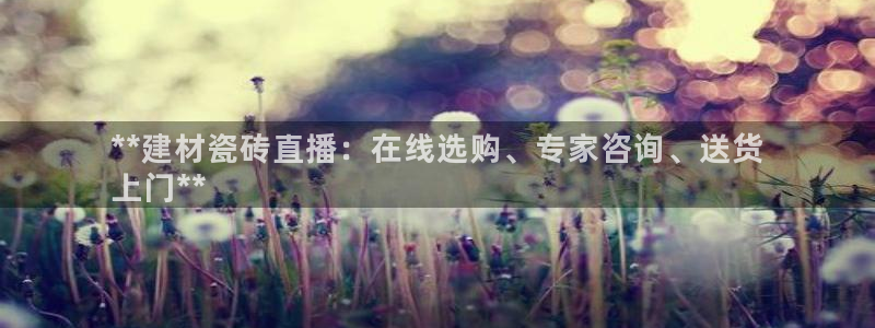 杏鑫平台代理怎么做赚钱