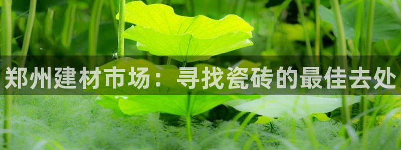 杏鑫官方平台怎么样啊安全吗