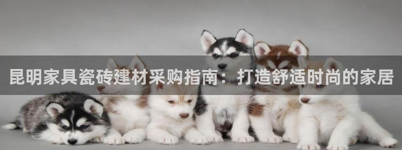 杏鑫官网