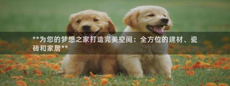 杏鑫平台代理注册