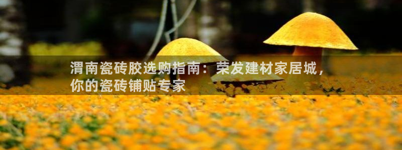 杏鑫平台代理注册流程及费用