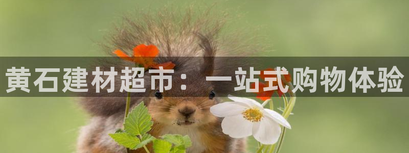 杏鑫娱乐怎么样