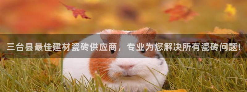 杏鑫平台代理注册流程图