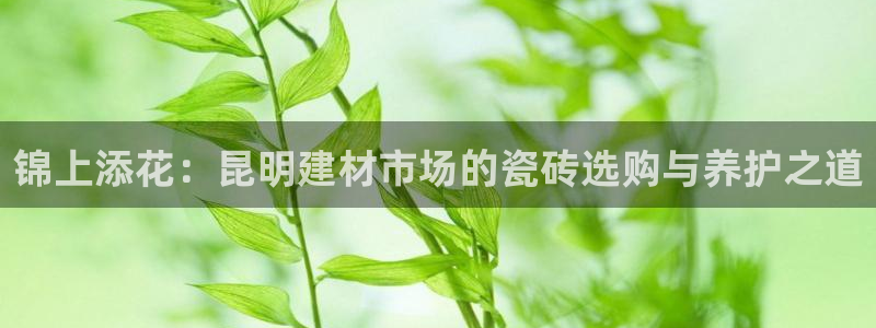 杏鑫娱乐多少年了