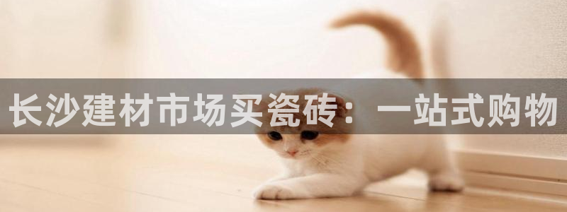 杏鑫平台代理注册流程视频