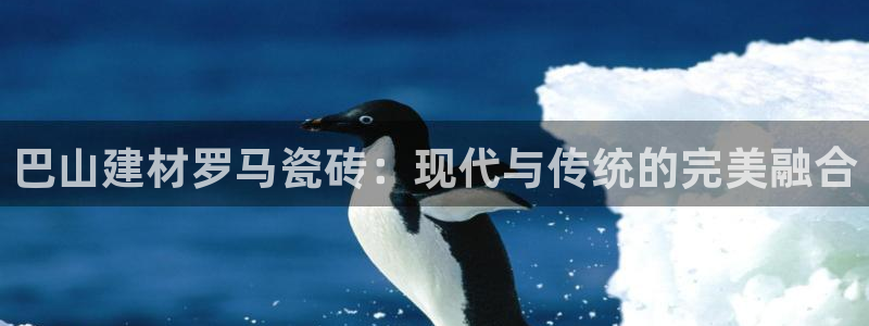 杏鑫平台是黑平台吗知乎