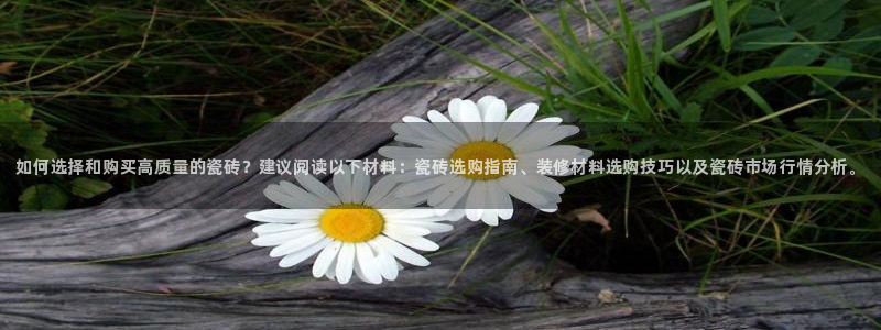 杏鑫娱乐平台登录注册网站