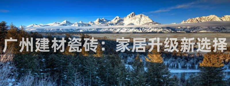 杏鑫平台是黑平台吗是真的吗