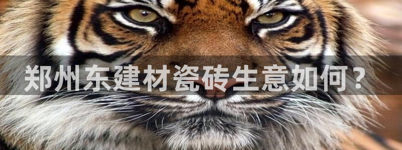 杏鑫娱乐官网登录不了