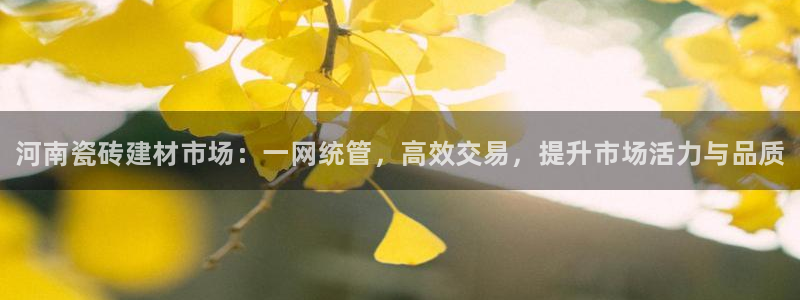 杏鑫娱乐官网登录不了