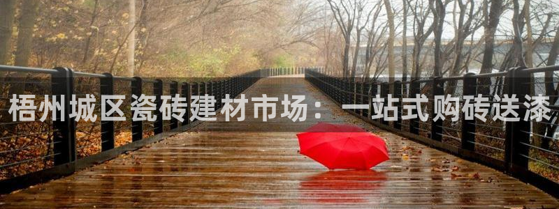 杏鑫官网注册账号密码是多少