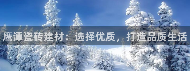 杏鑫官网注册账号密码