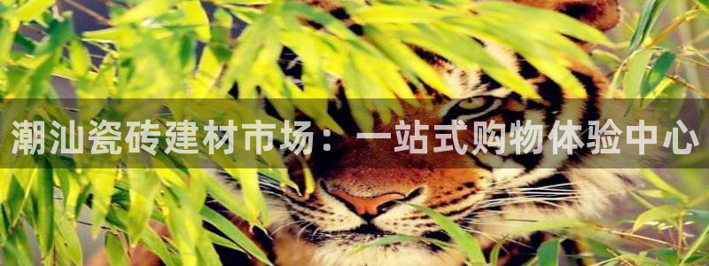 杏鑫娱乐多少年了