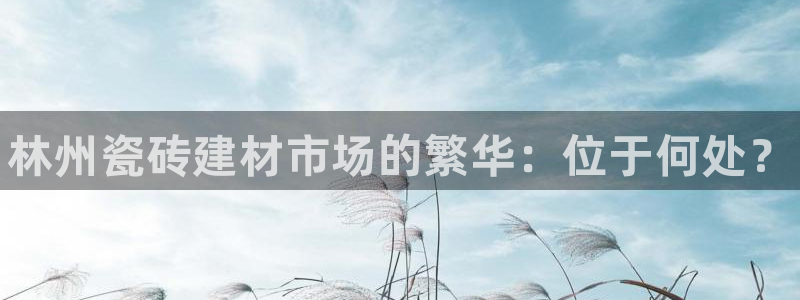 杏鑫平台注册入口在哪